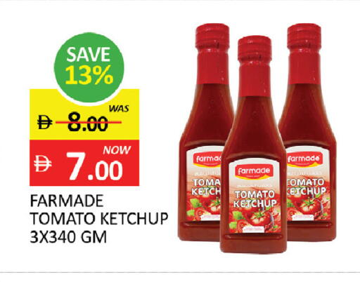 Tomato available at المدينة in الإمارات العربية المتحدة , الامارات - رَأْس ٱلْخَيْمَة
