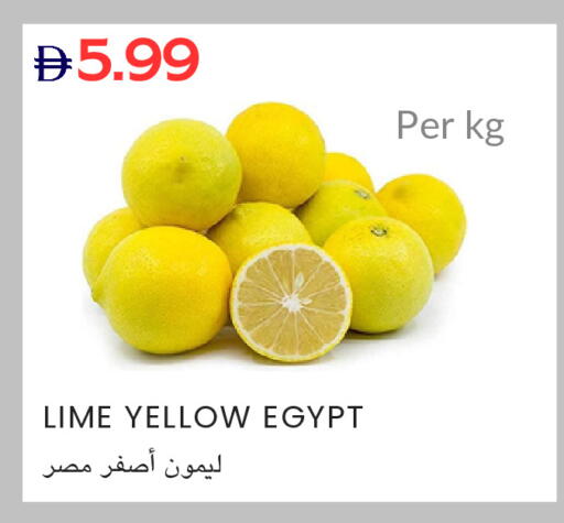 from Egypt available at Select Market in UAE - Abu Dhabi