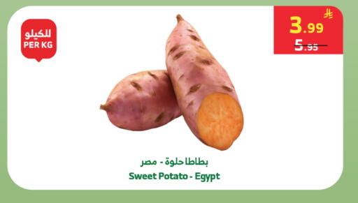 Sweet Potato from Egypt available at الراية in مملكة العربية السعودية, السعودية, سعودية - جدة