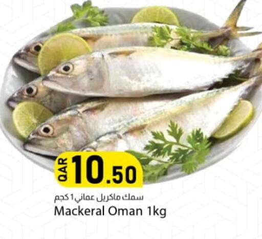 available at Dana Market in Qatar - Al Shamal