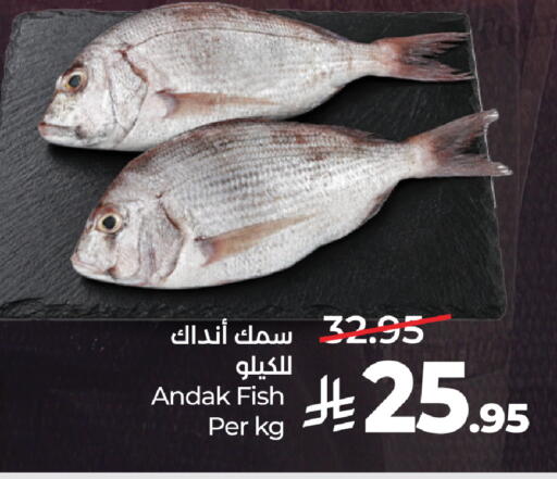 available at لولو هايبرماركت in مملكة العربية السعودية, السعودية, سعودية - جدة