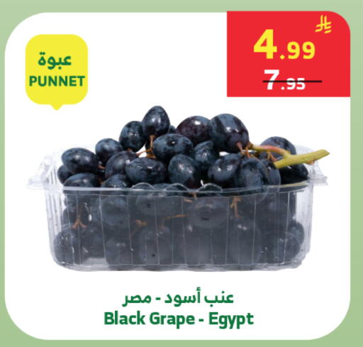 from Egypt available at Al Raya in KSA, Saudi Arabia, Saudi - Jeddah