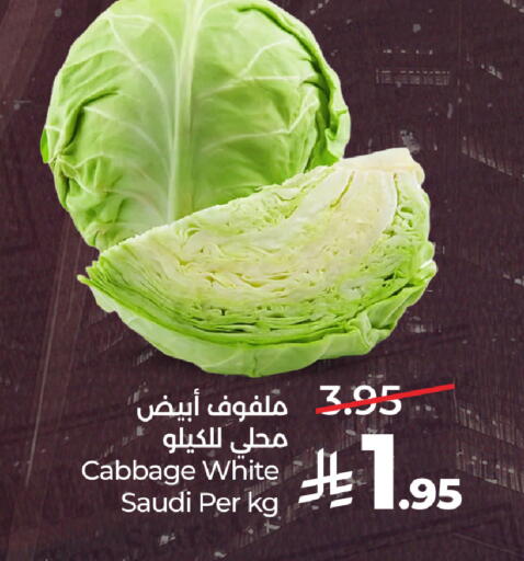 Cabbage from Saudi Arabia available at لولو هايبرماركت in مملكة العربية السعودية, السعودية, سعودية - جدة