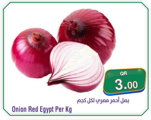 Onion from Egypt available at ميغا مارت in قطر - أم صلال