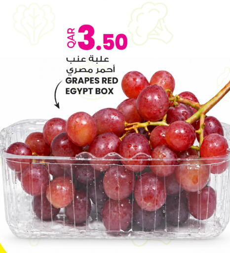 Grapes from Egypt available at أنصار جاليري in قطر - الوكرة
