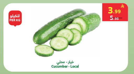 Cucumber available at الراية in مملكة العربية السعودية, السعودية, سعودية - جدة