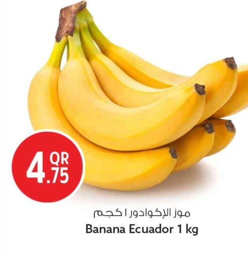 Banana from Ecuador available at Safari Hypermarket in Qatar - Al Rayyan