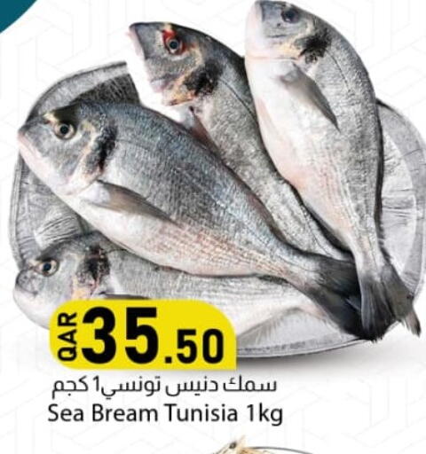 available at Dana Market in Qatar - Al Shamal