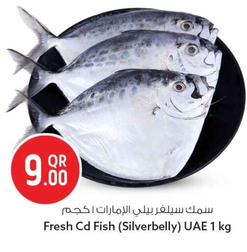 available at سفاري هايبر ماركت in قطر - الريان