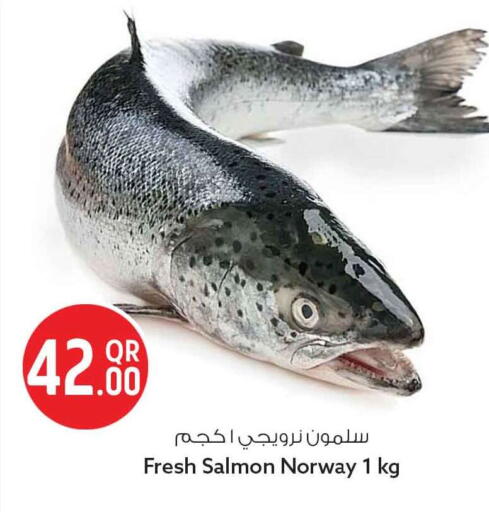 available at Safari Hypermarket in Qatar - Al Rayyan