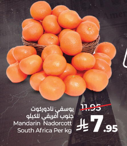 Mandarin from South Africa available at LULU Hypermarket in KSA, Saudi Arabia, Saudi - Jeddah