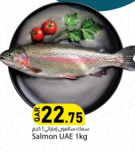 available at Dana Market in Qatar - Doha