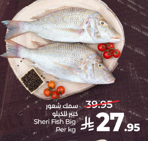 available at LULU Hypermarket in KSA, Saudi Arabia, Saudi - Medina