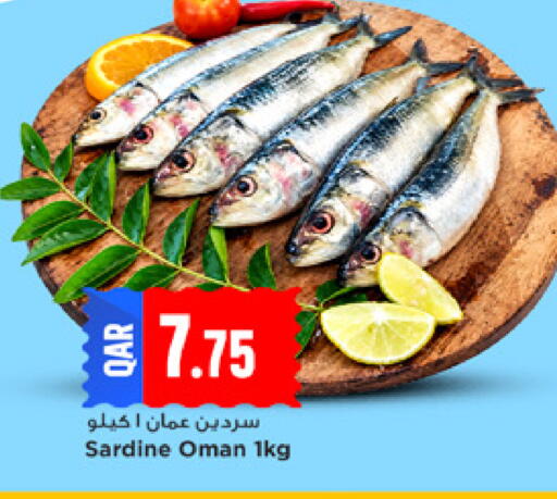 available at مرزا هايبرماركت in قطر - الخور