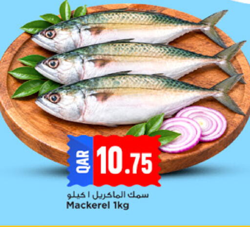 available at مرزا هايبرماركت in قطر - الخور