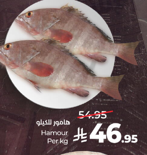available at LULU Hypermarket in KSA, Saudi Arabia, Saudi - Medina