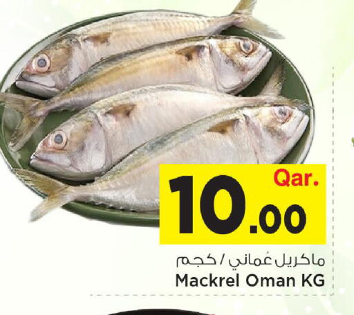 available at مارك & سيف in قطر - الوكرة