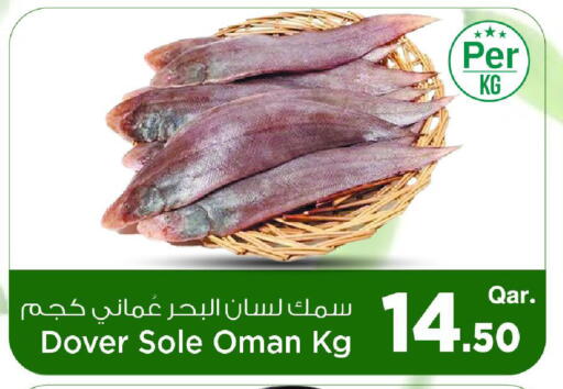 available at مارك & سيف in قطر - الوكرة