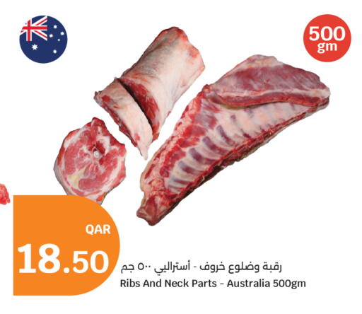 available at سيتي هايبرماركت in قطر - أم صلال