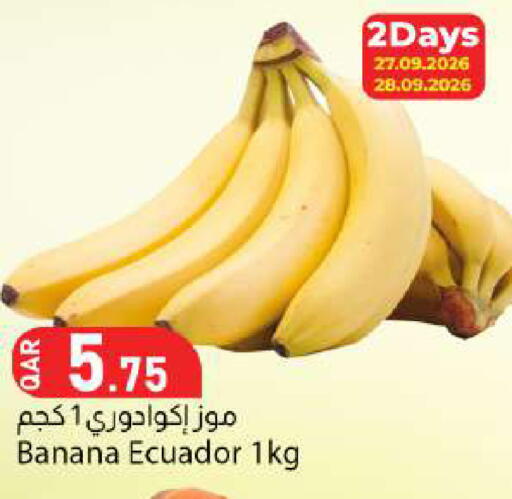 Banana from Ecuador available at Dana Market in Qatar - Al Wakra