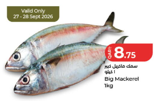 available at لولو هايبرماركت in قطر - أم صلال
