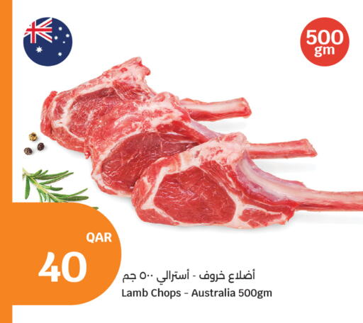 available at سيتي هايبرماركت in قطر - أم صلال