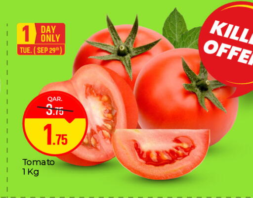 Tomato available at باريس هايبرماركت in قطر - أم صلال