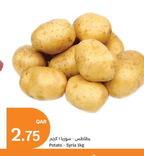 Potato from Syria available at سيتي هايبرماركت in قطر - أم صلال
