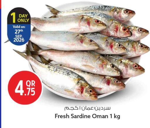 available at سفاري هايبر ماركت in قطر - أم صلال