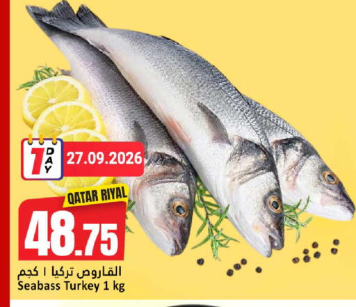 available at دانة هايبرماركت in قطر - أم صلال