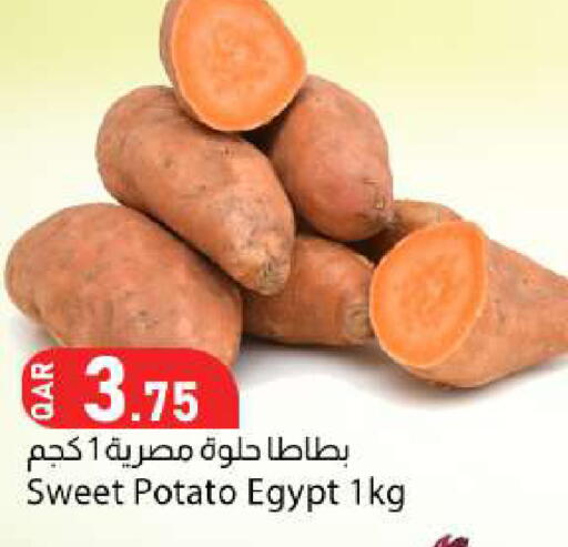 Sweet Potato from Egypt available at دانا ماركت in قطر - الضعاين