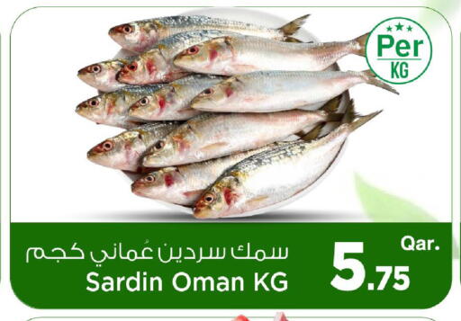available at مارك & سيف in قطر - الوكرة