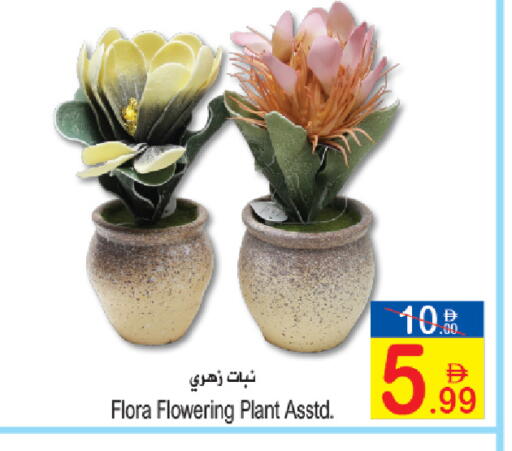 available at Sun and Sand Hypermarket in UAE - Ras al Khaimah