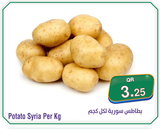 Potato from Syria available at Megamart in Qatar - Al Khor