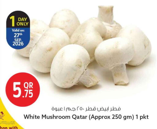 Mushroom from Qatar available at Safari Hypermarket in Qatar - Al Shamal