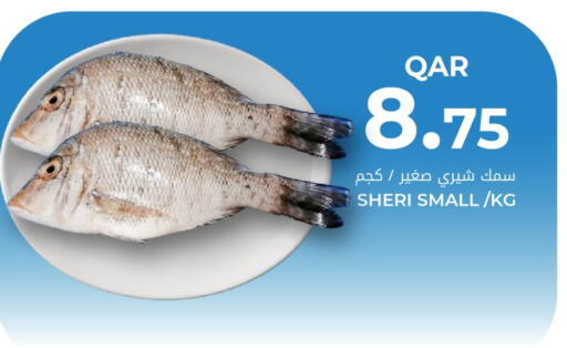 available at Grand Hypermarket in Qatar - Al Rayyan