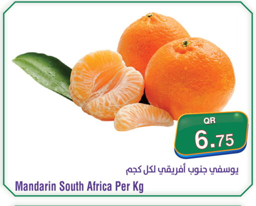 Mandarin from South Africa available at Megamart in Qatar - Umm Salal