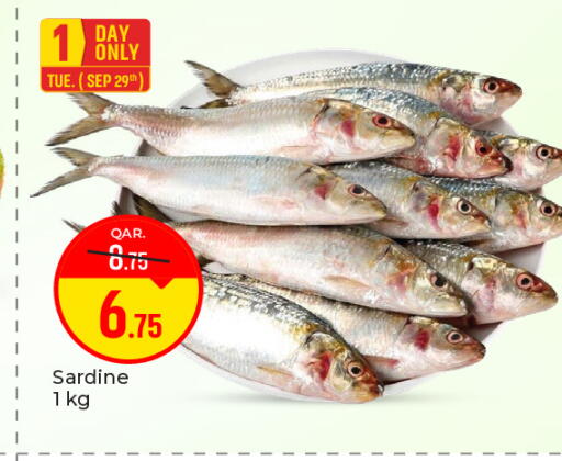 available at باريس هايبرماركت in قطر - أم صلال