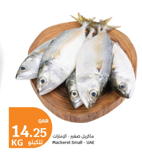 available at سيتي هايبرماركت in قطر - أم صلال