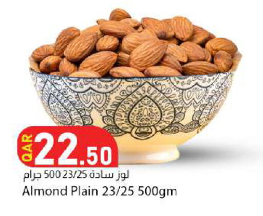 available at دانا ماركت in قطر - الشمال
