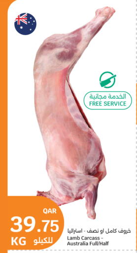 available at سيتي هايبرماركت in قطر - أم صلال