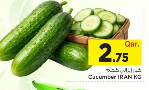 Cucumber from Iran available at Mark & Save  in Qatar - Al-Shahaniya