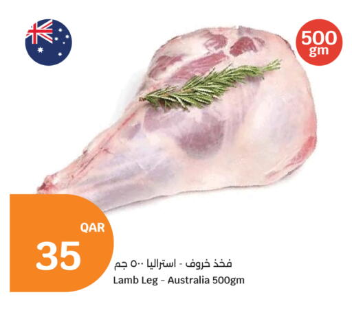 available at سيتي هايبرماركت in قطر - أم صلال