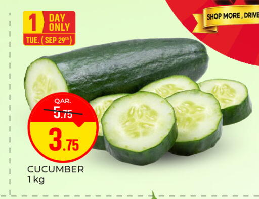 Cucumber available at باريس هايبرماركت in قطر - الوكرة