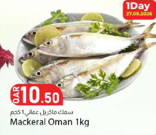 available at دانا ماركت in قطر - أم صلال