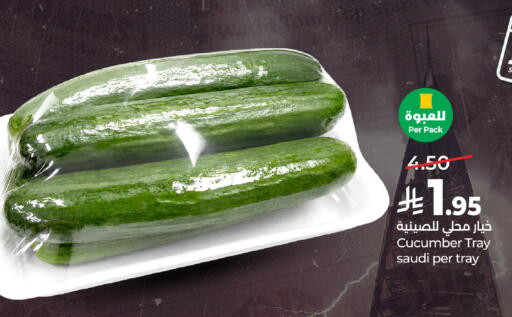 Cucumber from Saudi Arabia available at LULU Hypermarket in KSA, Saudi Arabia, Saudi - Al-Kharj