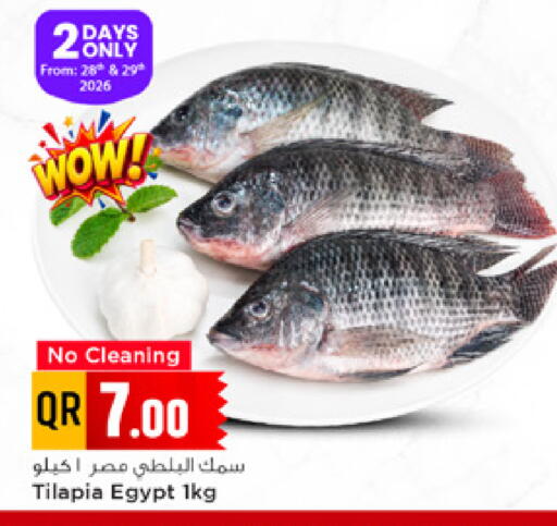 available at مرزا هايبرماركت in قطر - الخور