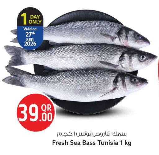 available at سفاري هايبر ماركت in قطر - أم صلال