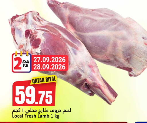 available at دانة هايبرماركت in قطر - الدوحة