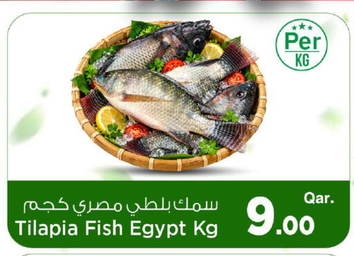 available at مارك & سيف in قطر - الوكرة